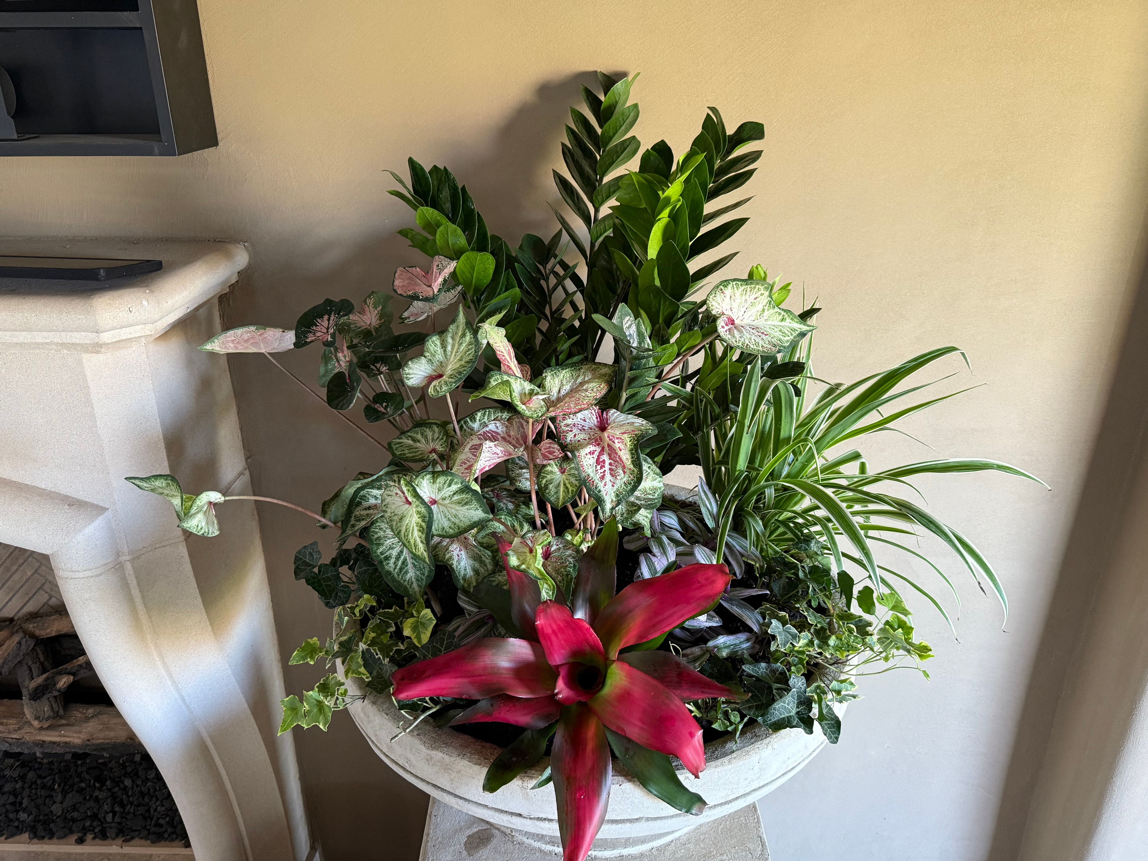 Indoor — Container Gardens