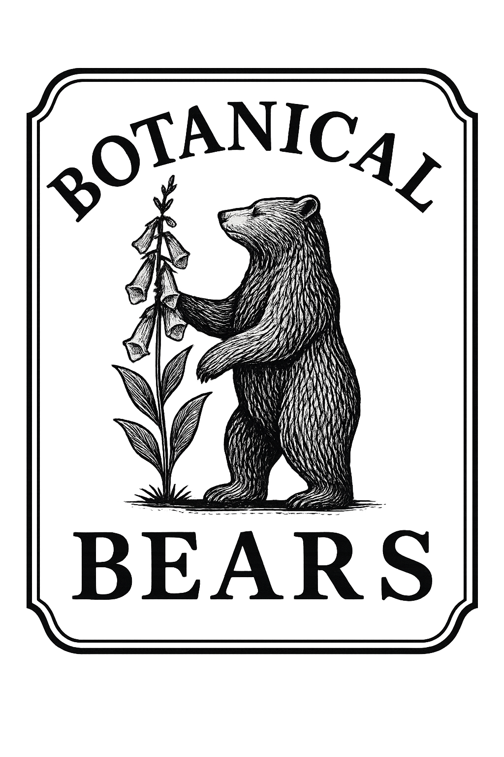 Botanical Bears — bear holding a flowering plant, botanical illustration